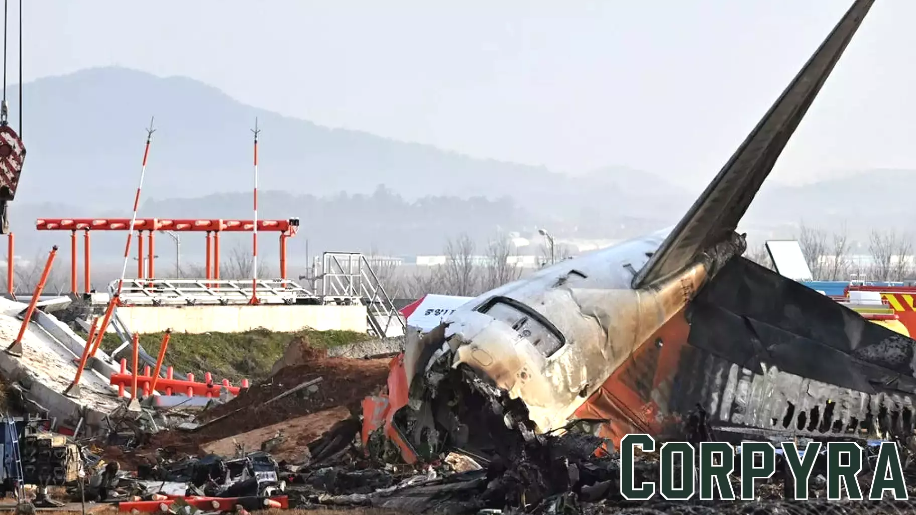 Experts Weigh In on Bird Strikes and the Jeju Air Crash