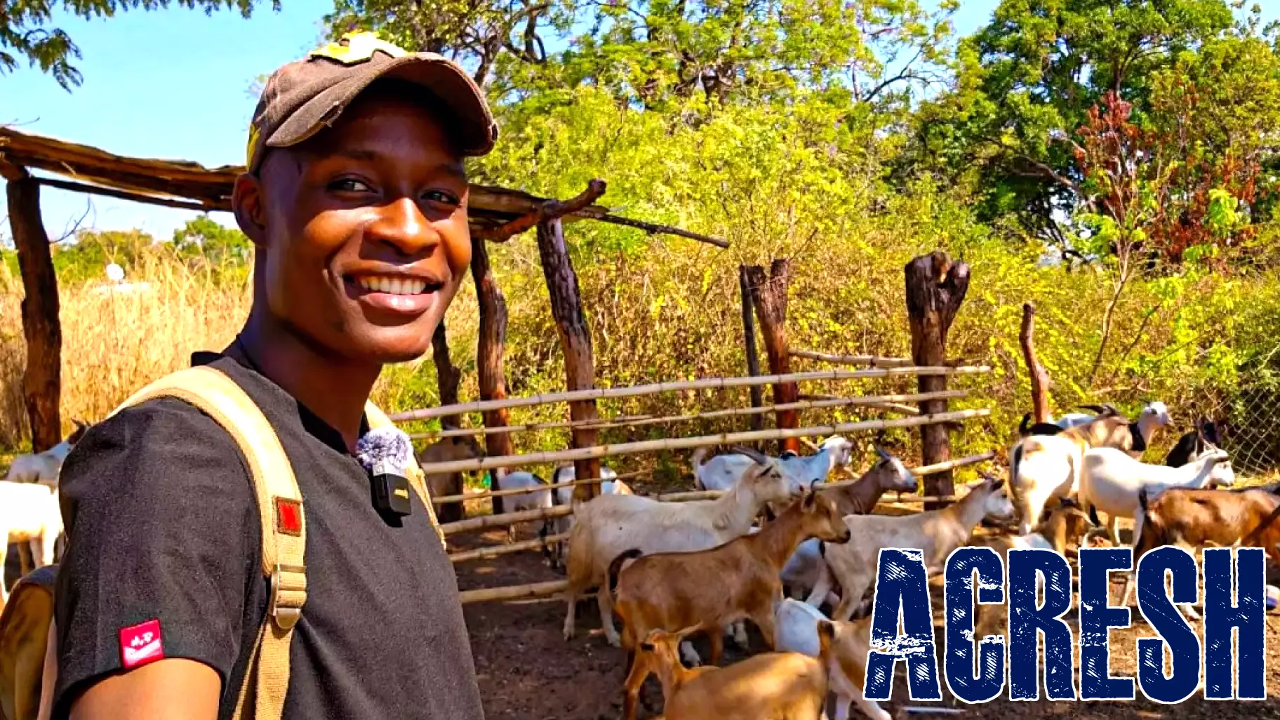 Zimbabwe’s diaspora reshapes real estate and farming investment trends