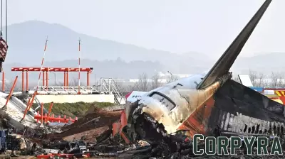 Experts Weigh In on Bird Strikes and the Jeju Air Crash