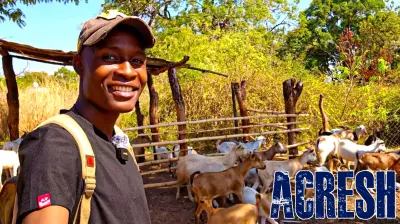 Zimbabwe’s diaspora reshapes real estate and farming investment trends